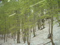  dscf0481.jpg 