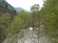  dscf0482.jpg 