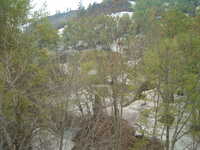  dscf0483.jpg 
