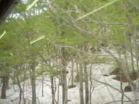  dscf0484.jpg 