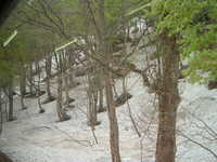  dscf0485.jpg 
