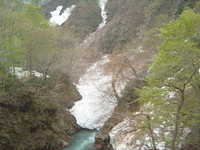  dscf0486.jpg 