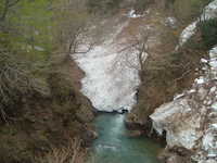  dscf0487.jpg 