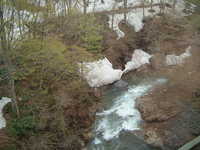  dscf0488.jpg 