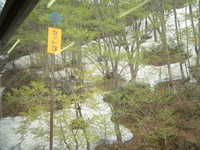  dscf0492.jpg 