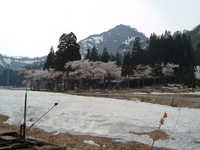 dscf0495.jpg 