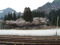  dscf0496.jpg 