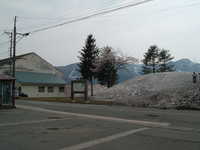  dscf0498.jpg 