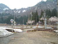  dscf0499.jpg 