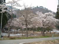  dscf0505.jpg 