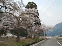  dscf0507.jpg 