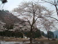  dscf0510.jpg 