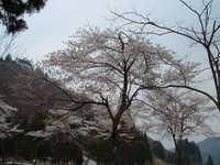  dscf0511.jpg 