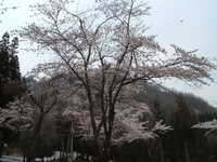  dscf0512.jpg 