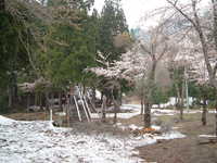  dscf0513.jpg 