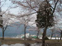  dscf0514.jpg 