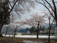  dscf0515.jpg 