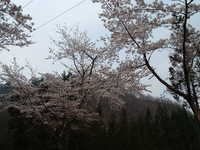  dscf0516.jpg 