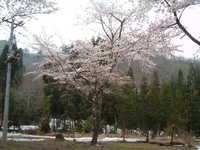  dscf0518.jpg 