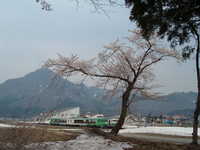  dscf0522.jpg 