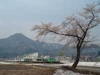  dscf0523.jpg 