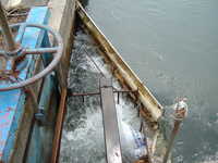  dscf0525.jpg 