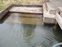 dscf0526.jpg 