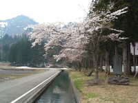  dscf0527.jpg 