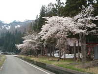  dscf0528.jpg 