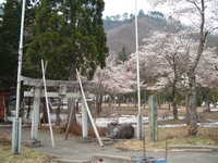  dscf0529.jpg 