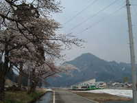  dscf0530.jpg 