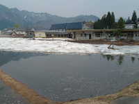  dscf0531.jpg 