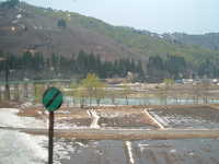  dscf0539.jpg 