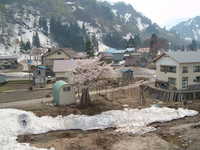  dscf0540.jpg 