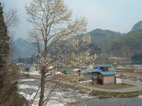  dscf0542.jpg 