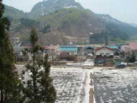  dscf0544.jpg 