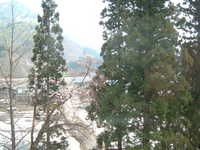  dscf0545.jpg 