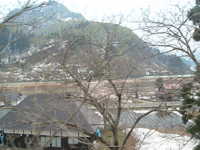  dscf0546.jpg 