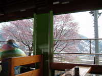 dscf0553.jpg 