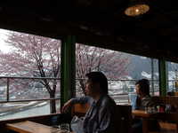  dscf0554.jpg 