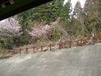  dscf0555.jpg 