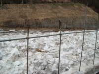  dscf0556.jpg 