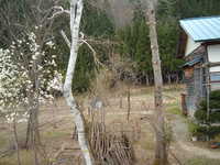  dscf0580.jpg 