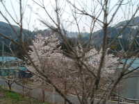  dscf0583.jpg 