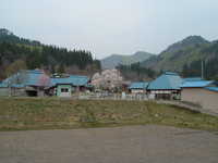  dscf0586.jpg 