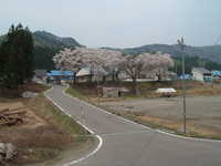  dscf0590.jpg 