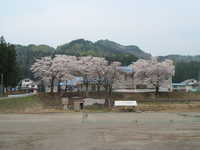  dscf0591.jpg 