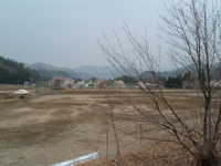  dscf0593.jpg 