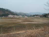  dscf0594.jpg 