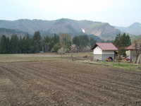  dscf0598.jpg 